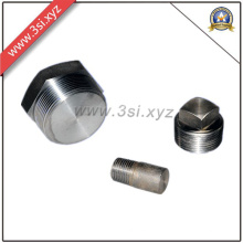 ANSI B 16.11 Ss Threaded Plug (YZF-L176)